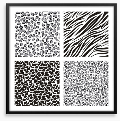 Animal Print