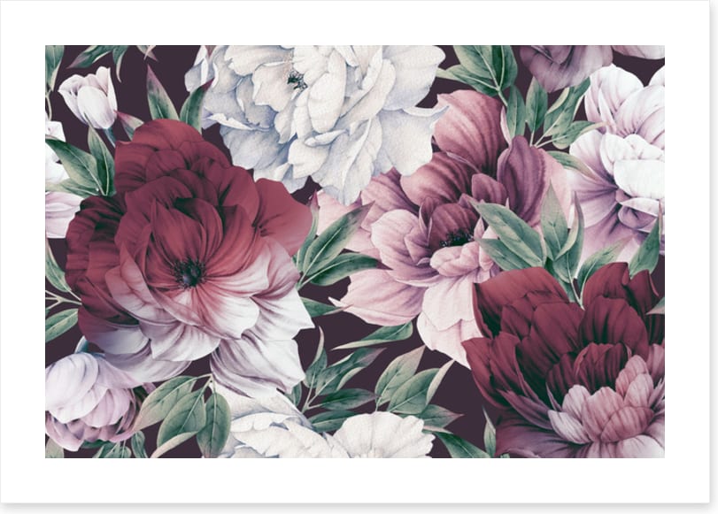 Rose peony petals