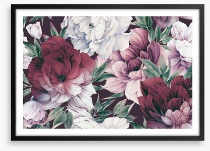 Rose peony petals