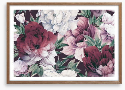 Rose peony petals
