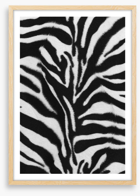 Animal Print