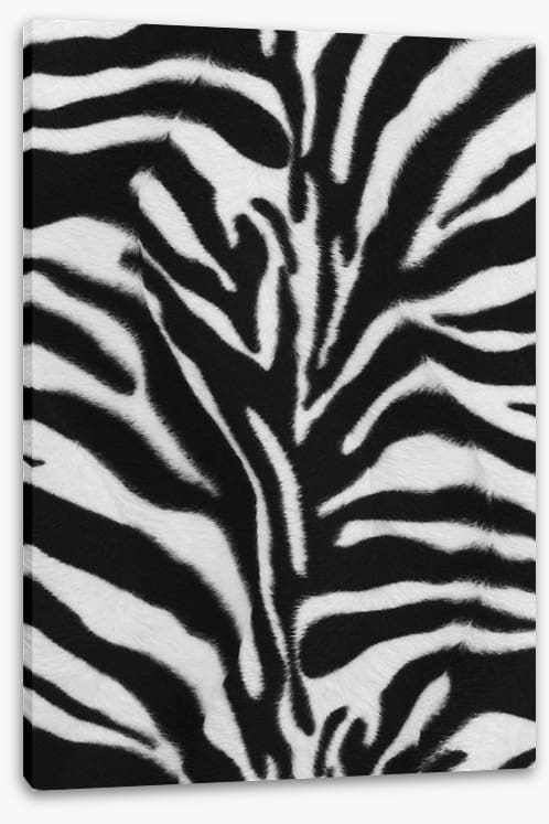 Animal Print