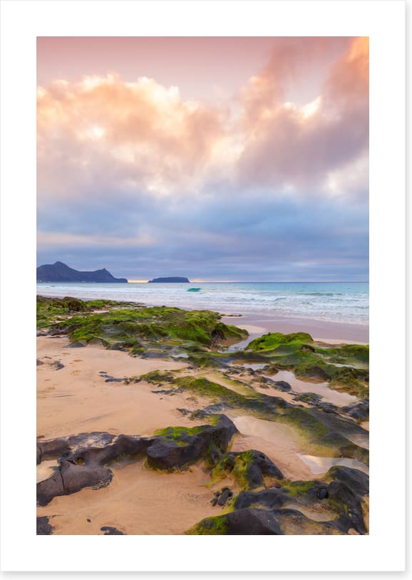 Slippery shores