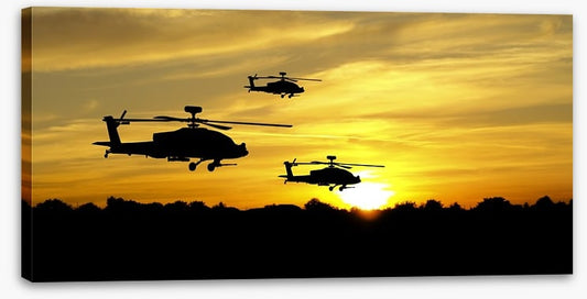 Black hawk down