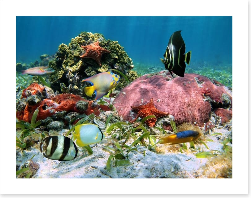 Underwater