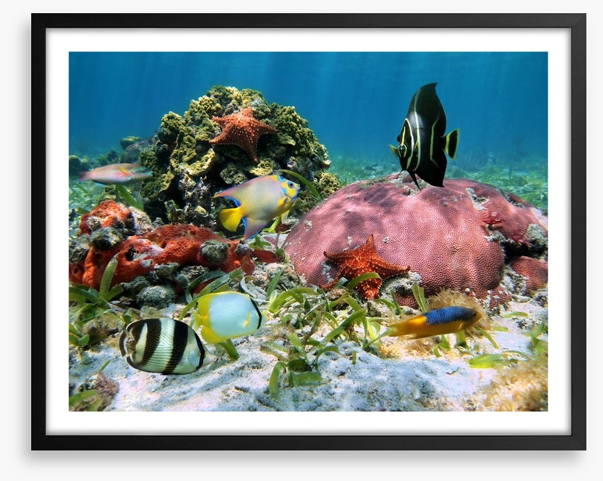 Underwater