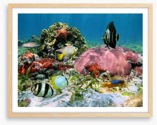 Underwater