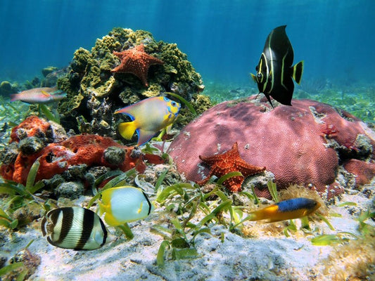 Underwater