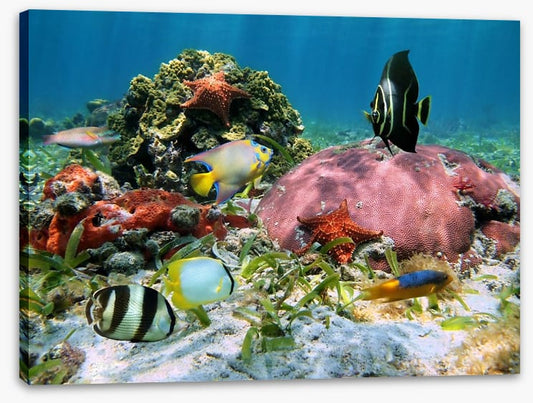Underwater