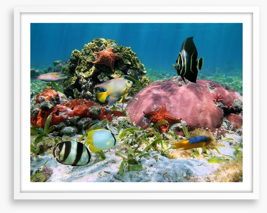 Underwater