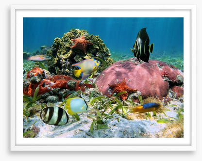 Underwater
