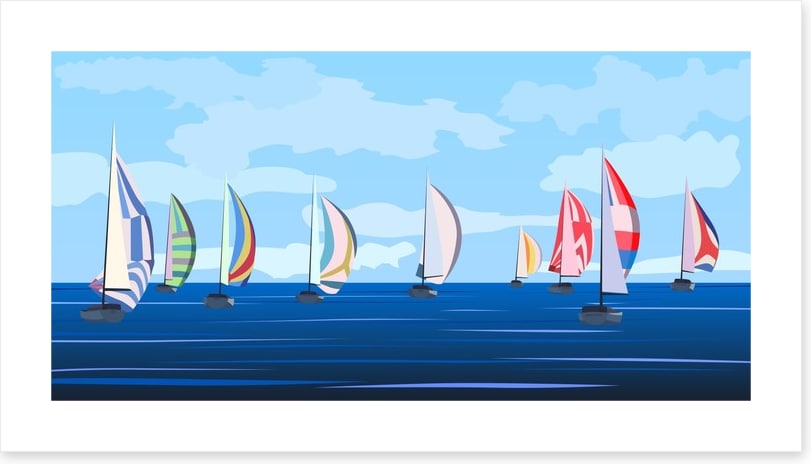Summer regatta