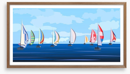 Summer regatta