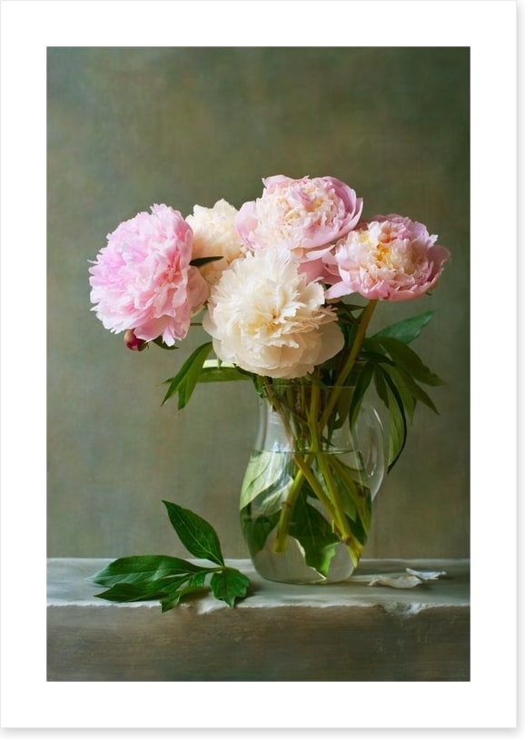 Fresh cut flowers