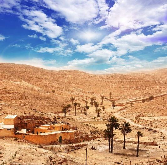 Desert