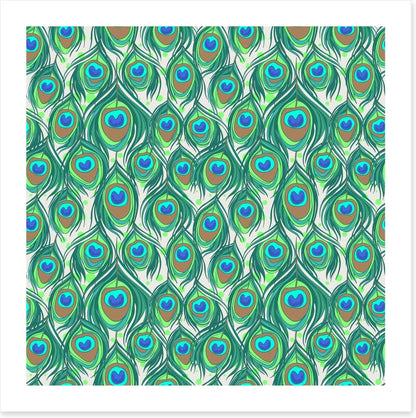 Peacock feathers