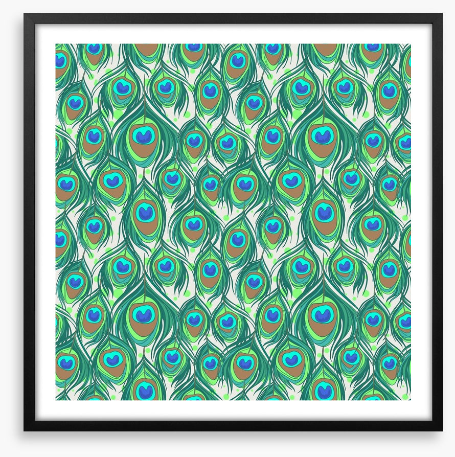 Peacock feathers