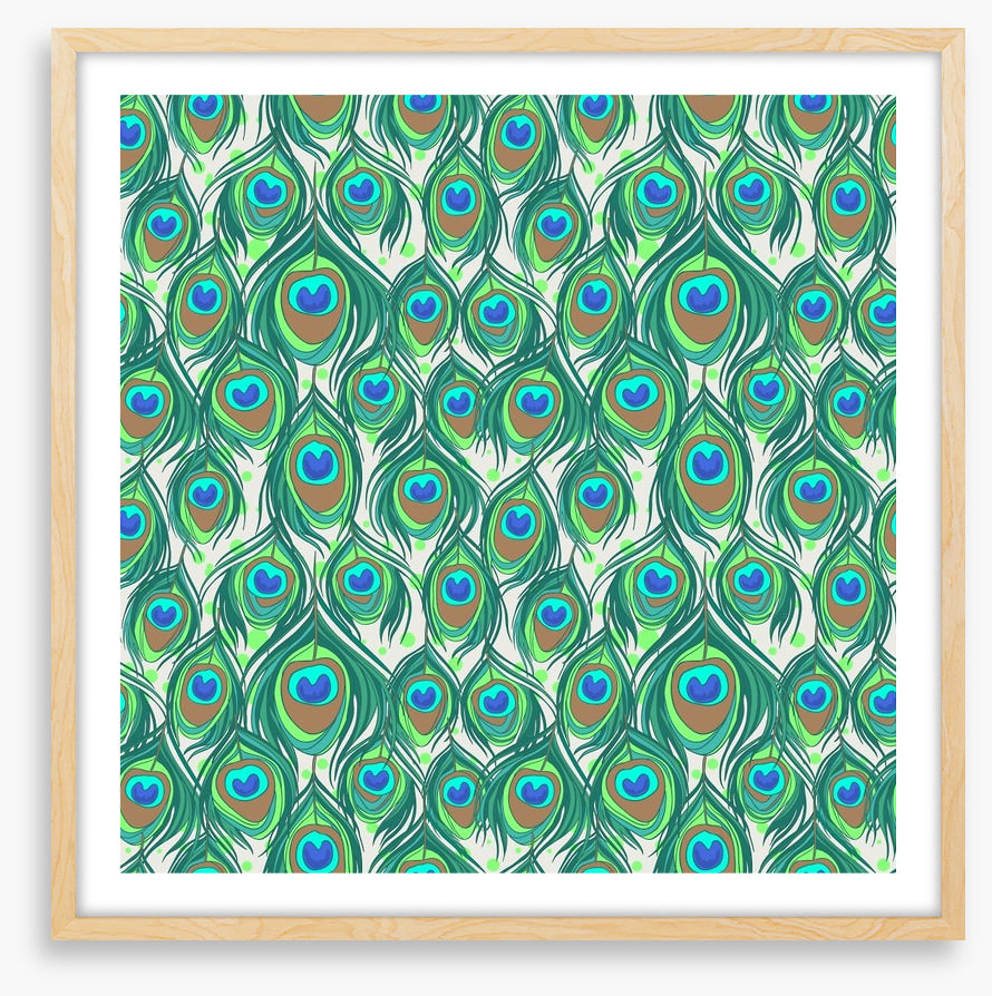 Peacock feathers