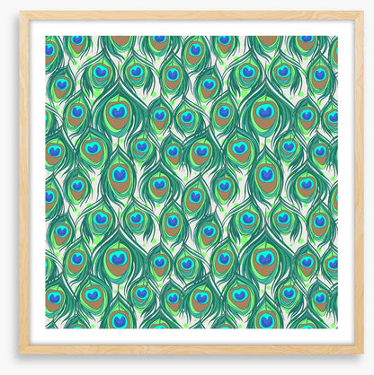 Peacock feathers