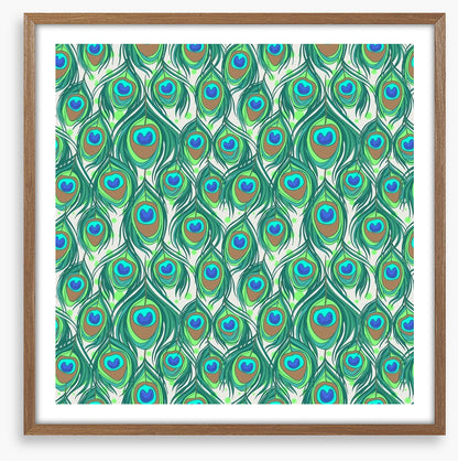 Peacock feathers