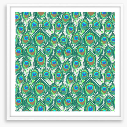 Peacock feathers