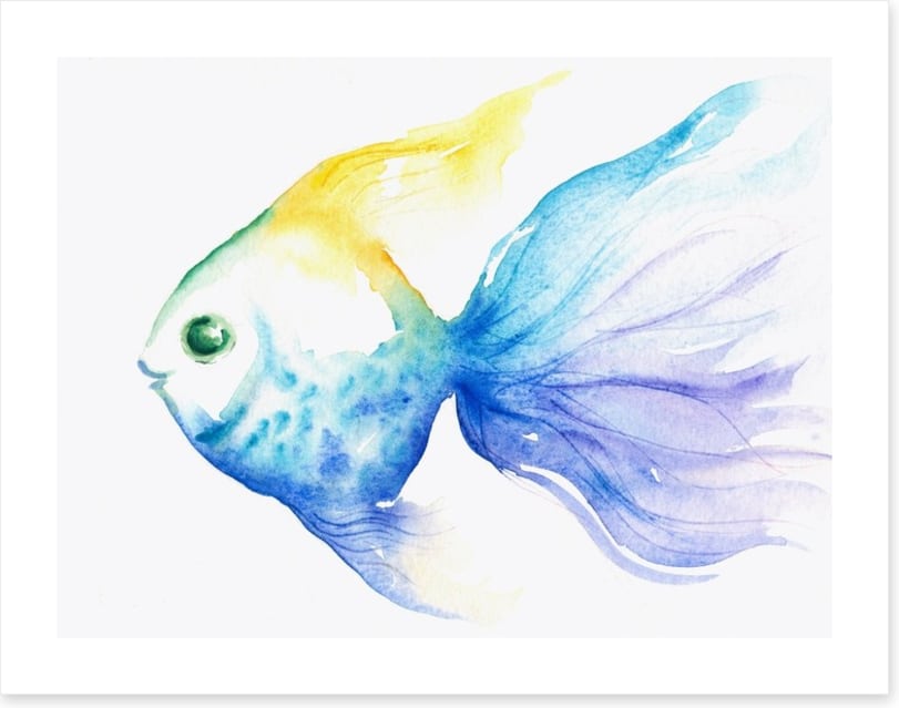 The smiling fish