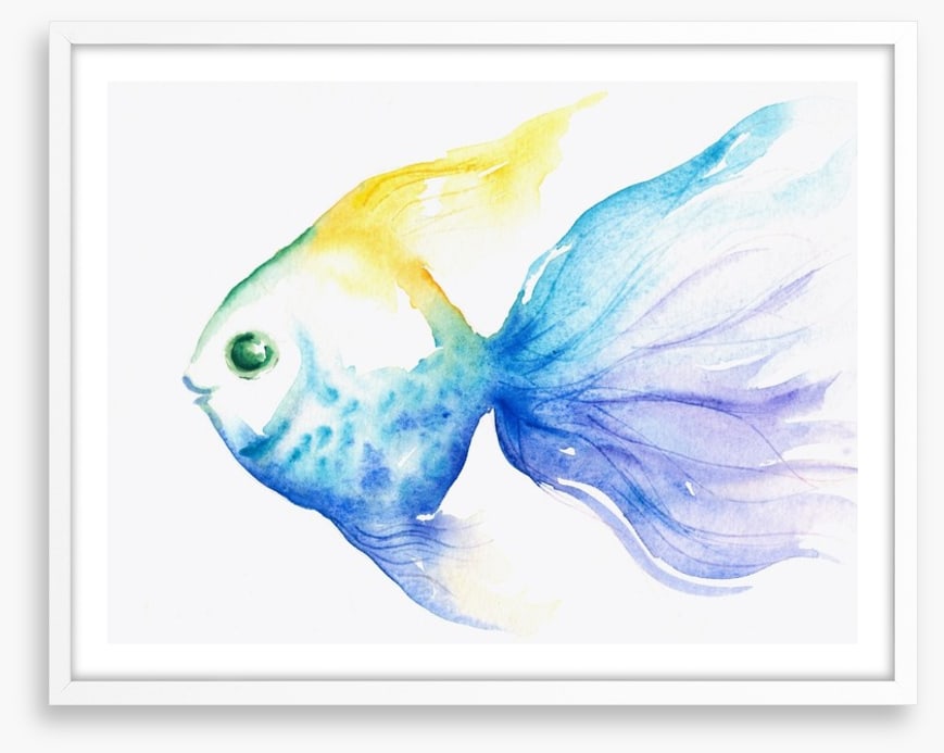 The smiling fish