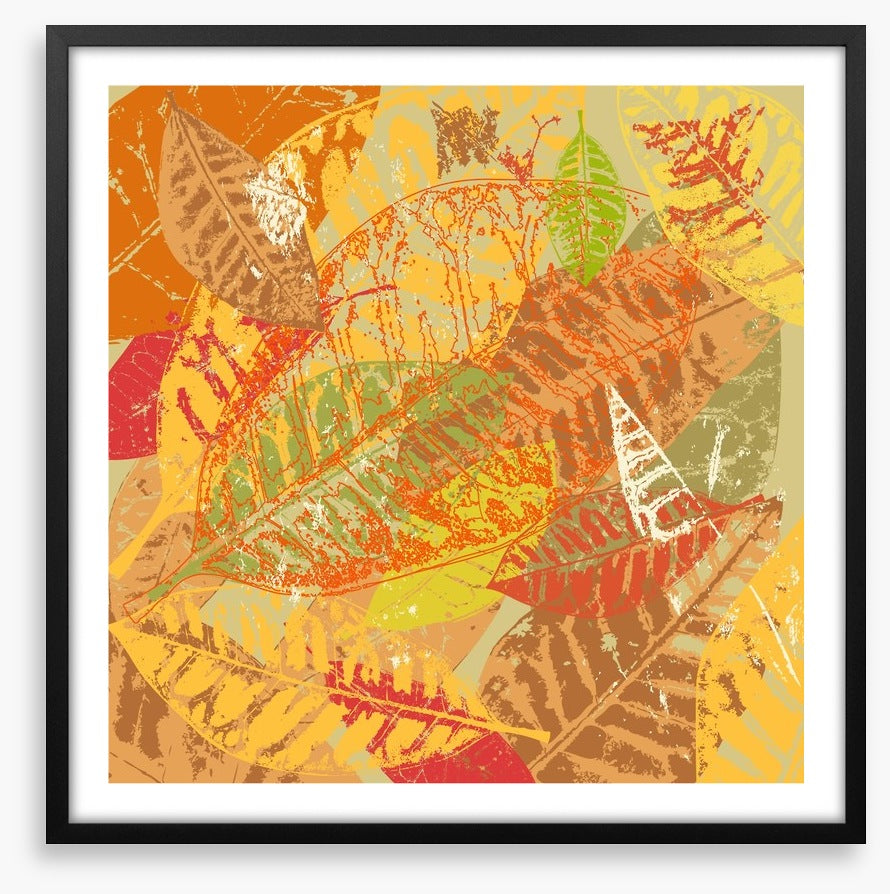 Autumn foliage