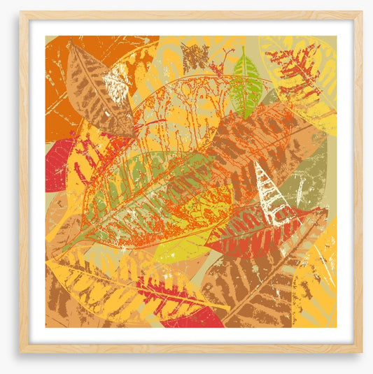 Autumn foliage