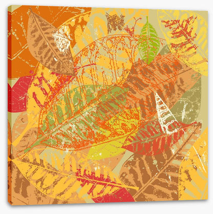 Autumn foliage