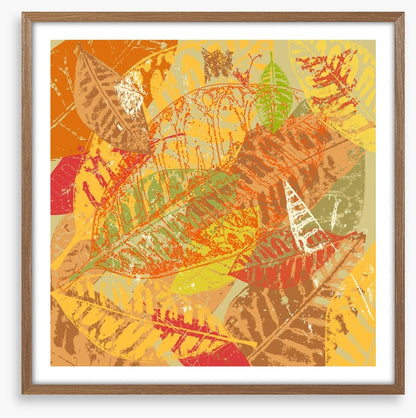 Autumn foliage
