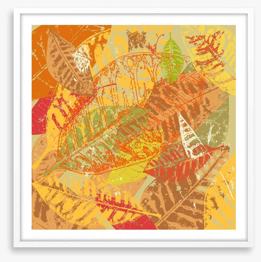 Autumn foliage