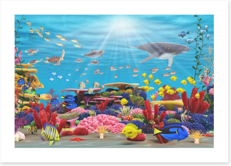 Underwater paradise