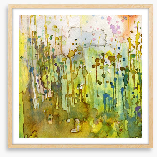 Nature splash