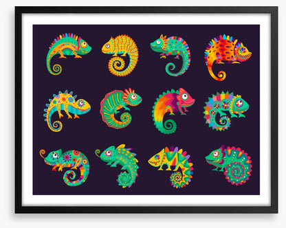 Chameleon craze
