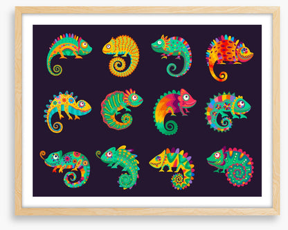 Chameleon craze