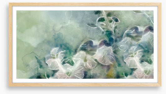 Frozen flowers