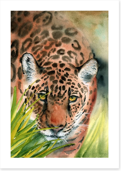 Lurking leopard