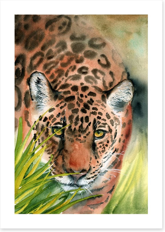 Lurking leopard