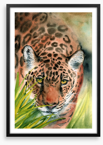 Lurking leopard