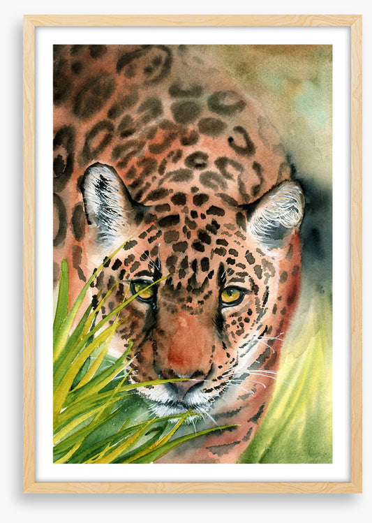 Lurking leopard