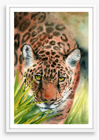 Lurking leopard