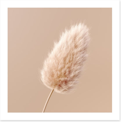 One fluffy flower