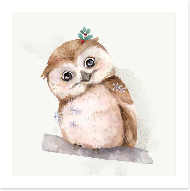 Holly the owl