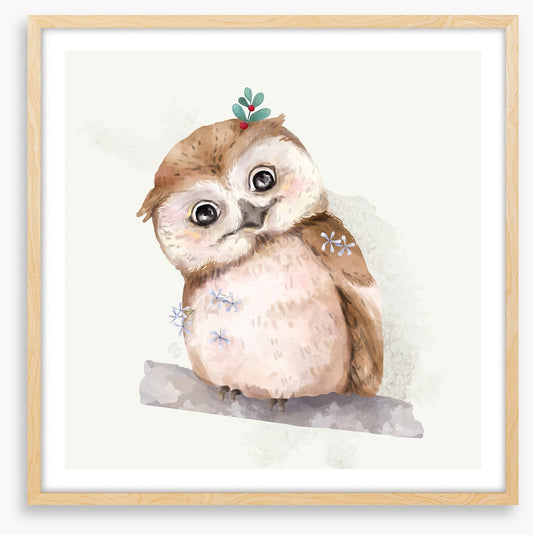 Holly the owl