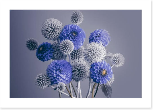 Spheres of spring