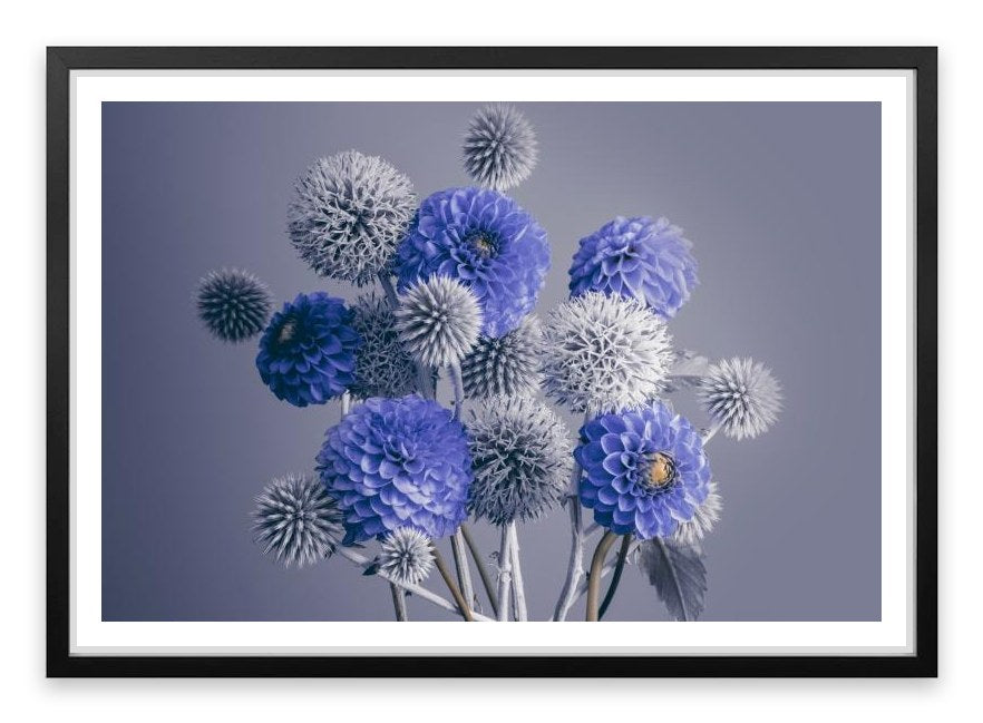 Spheres of spring