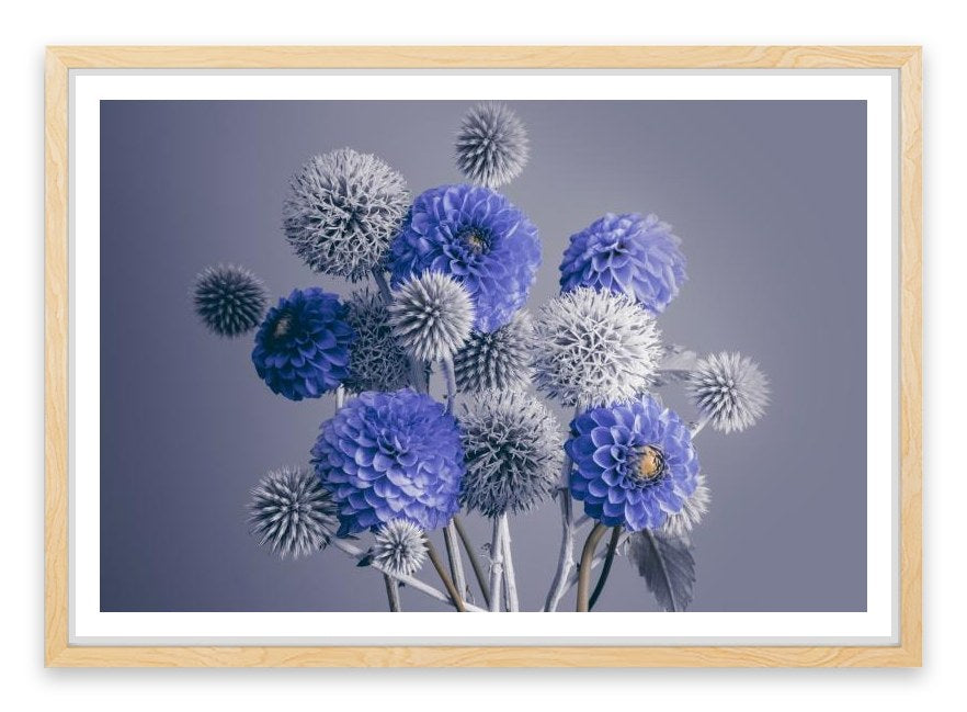 Spheres of spring