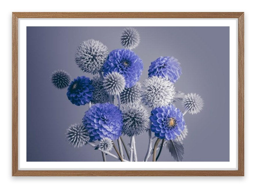 Spheres of spring
