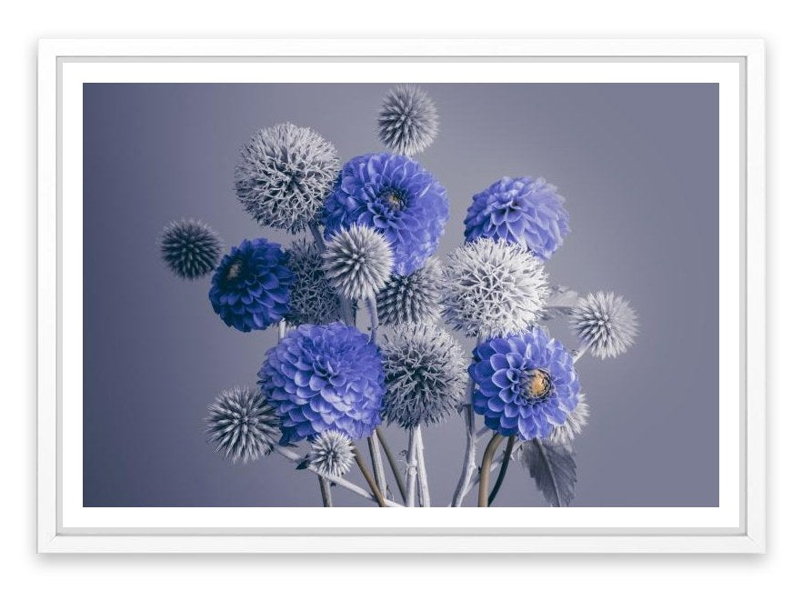 Spheres of spring